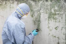 Best Asbestos and Lead Testing During Mold Inspection  in Countryside, IL